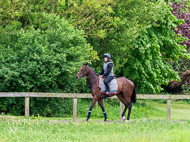 CH290522-30 - Charlie Hills Stable Visit